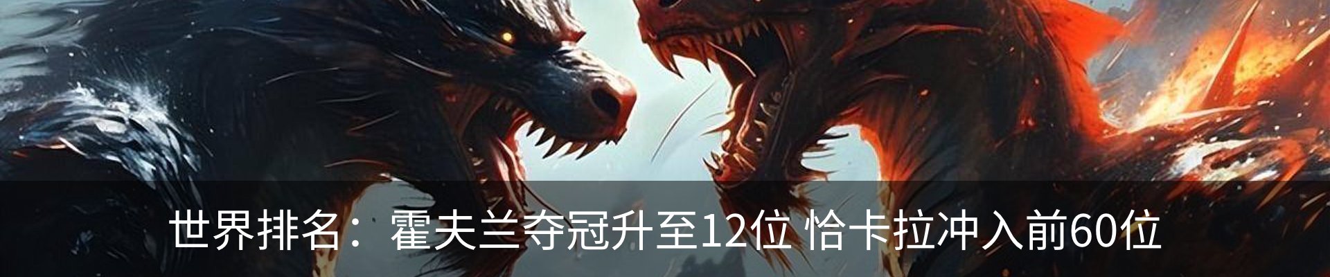 新闻动态