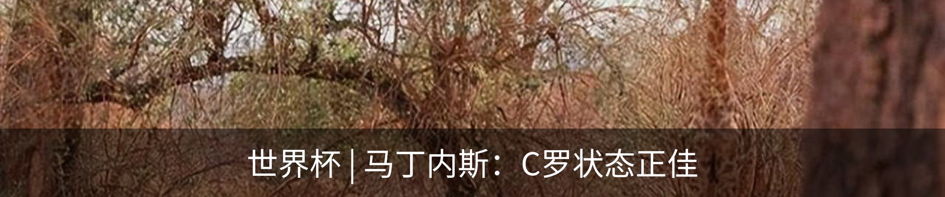 新闻动态