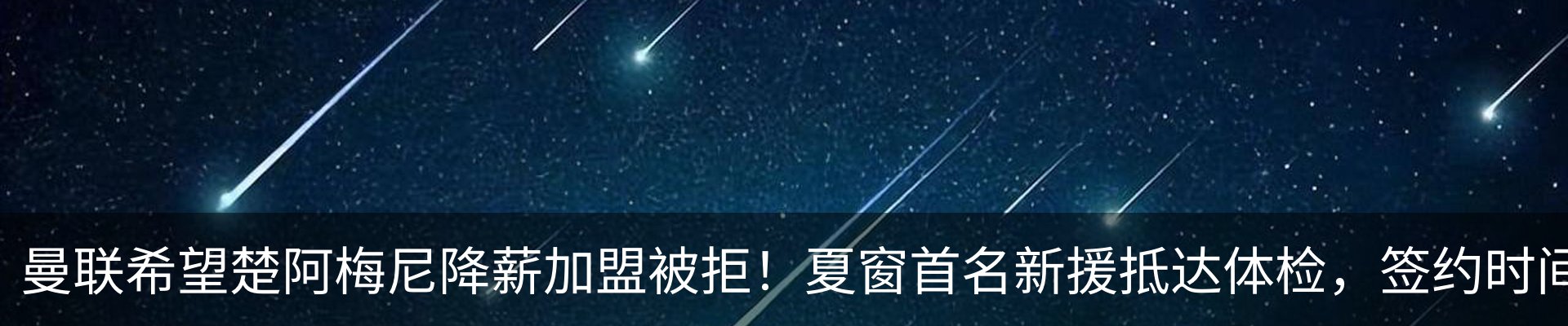 新闻动态