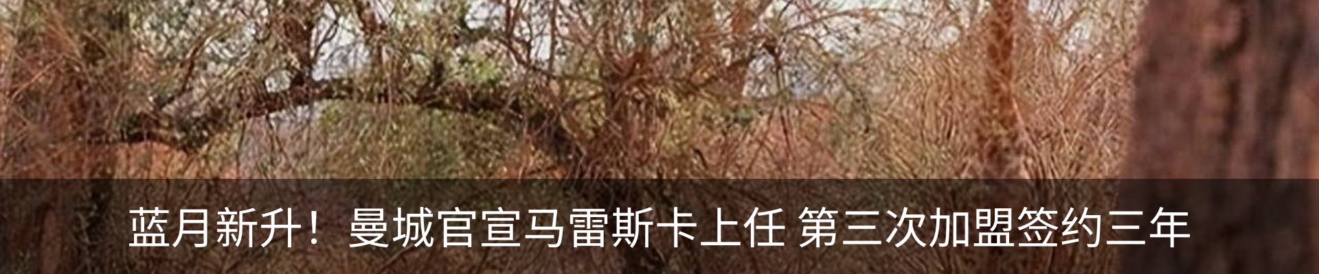 新闻动态