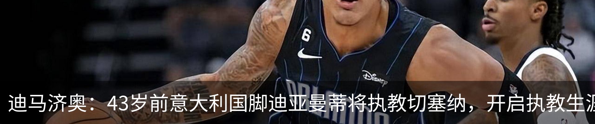 新闻动态